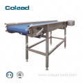 Belt Transport Conveyor for food processing line